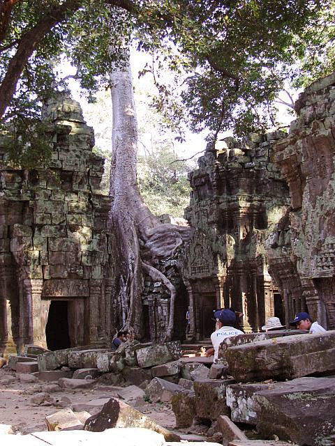 Ta Prohm – Siem Reap, Cambodia - Atlas Obscura