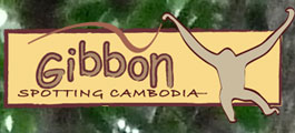 Gibbon Spotting Cambodia