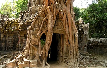 Ta som angkor